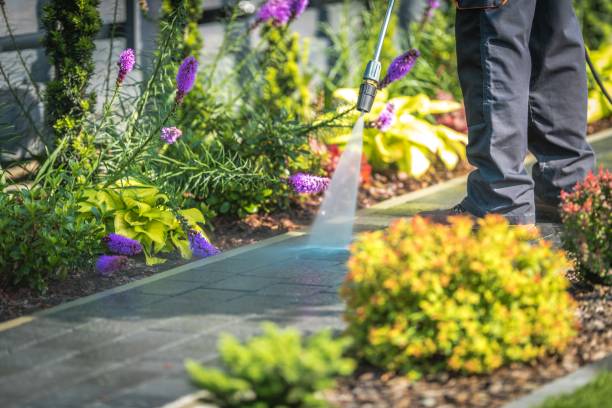 Best Winterizing Services  in Deenwood, GA